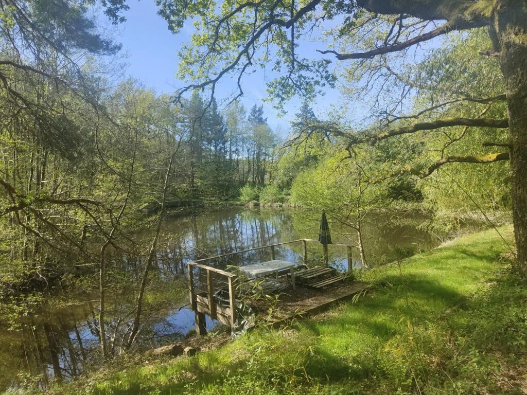 Terrain CHAMPNIERS ET REILHAC (24360) IMMOBILIER DU PERIGORD