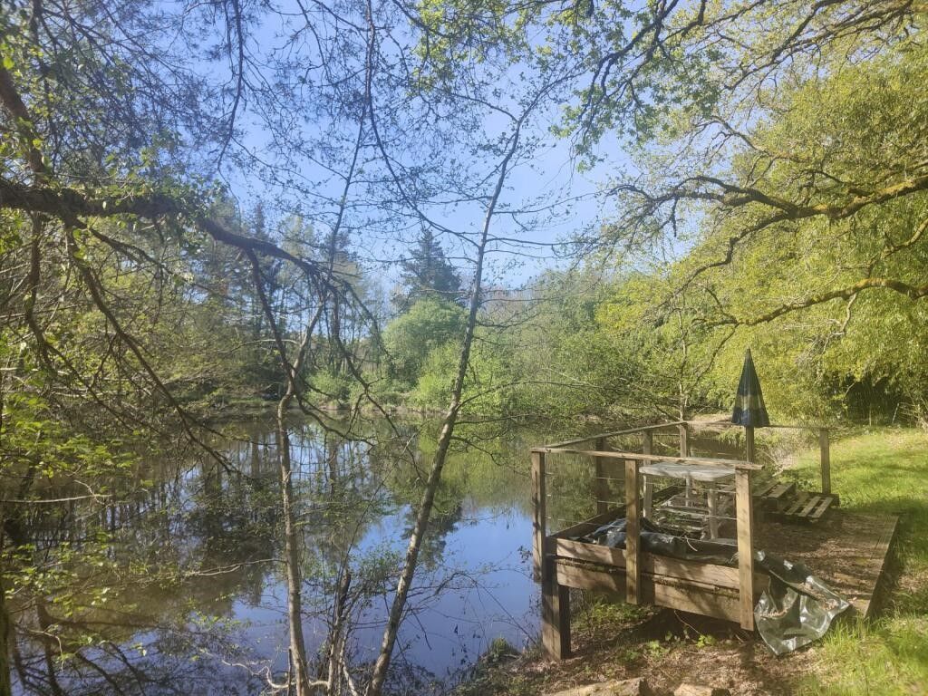 Terrain CHAMPNIERS ET REILHAC (24360) IMMOBILIER DU PERIGORD