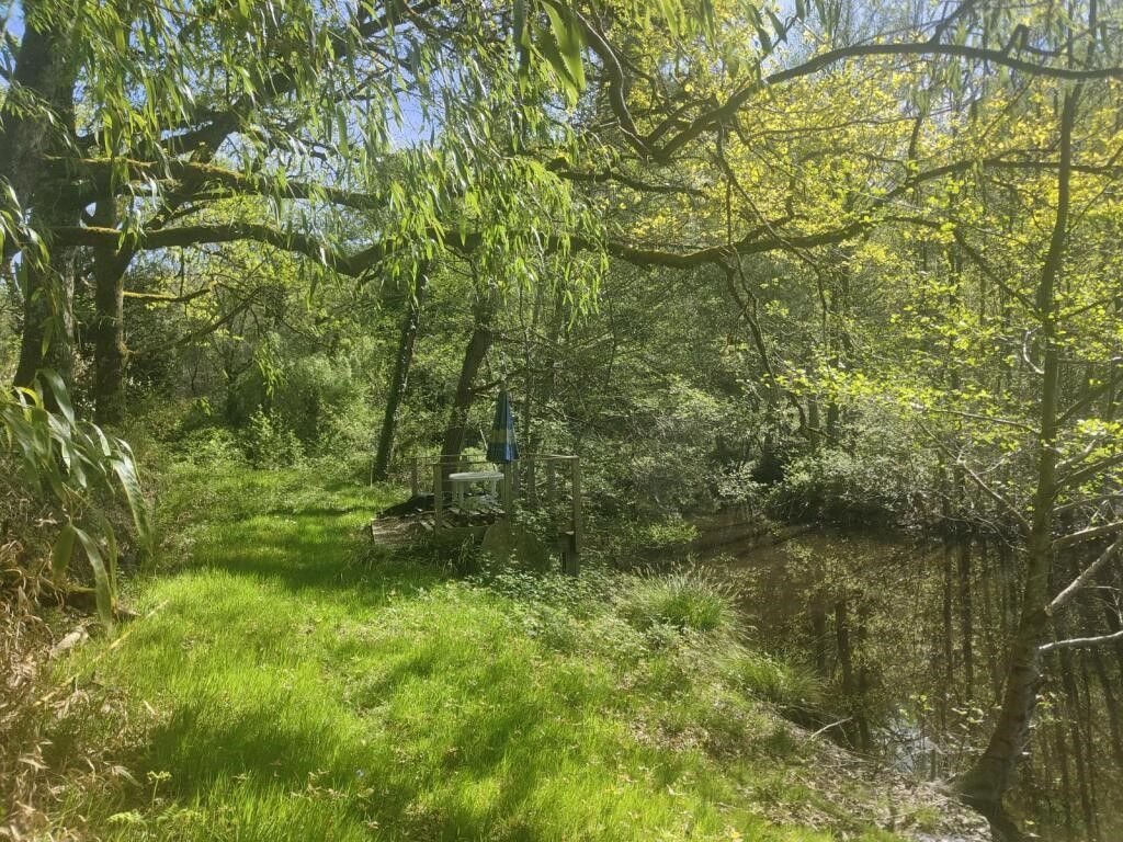 Terrain CHAMPNIERS ET REILHAC (24360) IMMOBILIER DU PERIGORD