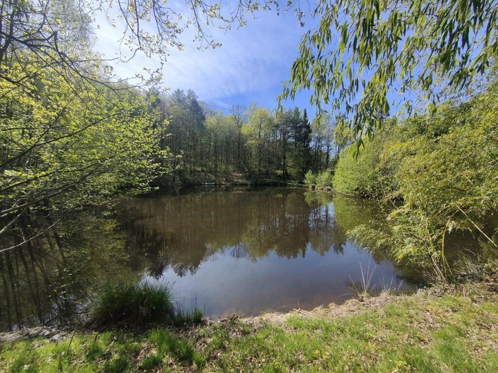 Terrain CHAMPNIERS ET REILHAC (24360) IMMOBILIER DU PERIGORD