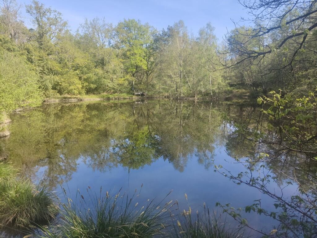 Terrain CHAMPNIERS ET REILHAC (24360) IMMOBILIER DU PERIGORD