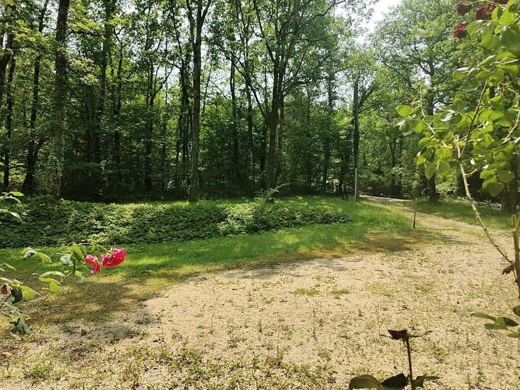 Maison d'architecte BRANTOME en Périgord (24310) IMMOBILIER DU PERIGORD
