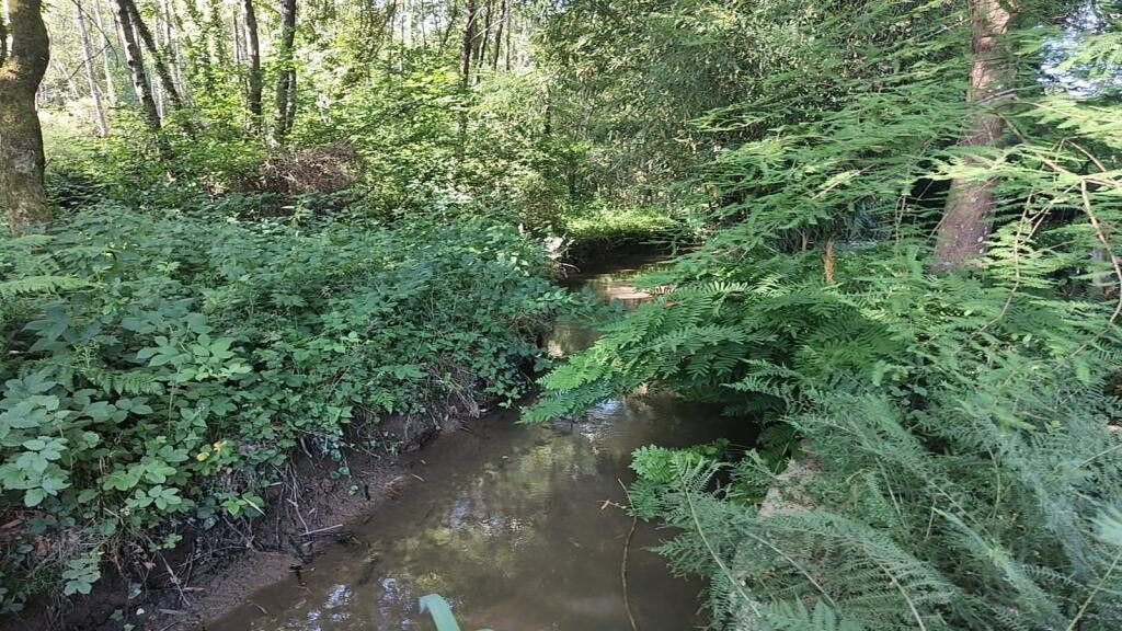 Fermette MASSIGNAC (16310) IMMOBILIER DU PERIGORD